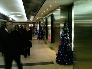 Canary Wharf Xmas Trees small.JPG