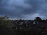 Yuckie English Autumn Mornining about 8am small.jpg