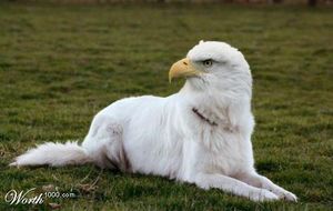 image002 thumbnail.jpg