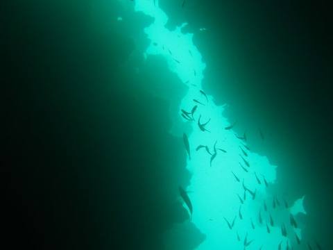 Egypt Diving Dahab and Thistlegorm Wreck